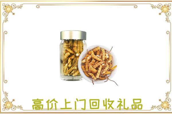 林州周边回收虫草